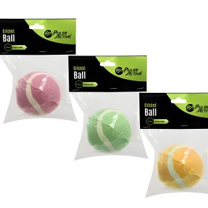 BALL CRICKET PRACTICE
