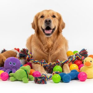 Pets