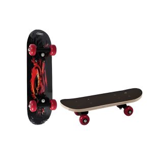 Ride On Skateboard 43cm